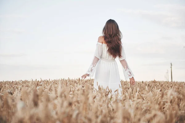 Retrato Uma Menina Bonita Vestido Branco Campo Trigo — Fotografia de Stock