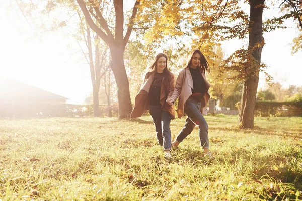 若いです美しいですブルネット二人の女の子一緒に歩いて手を取り合います 見ながらまっすぐで秋の晴れた公園上のぼやけた背景 — ストック写真