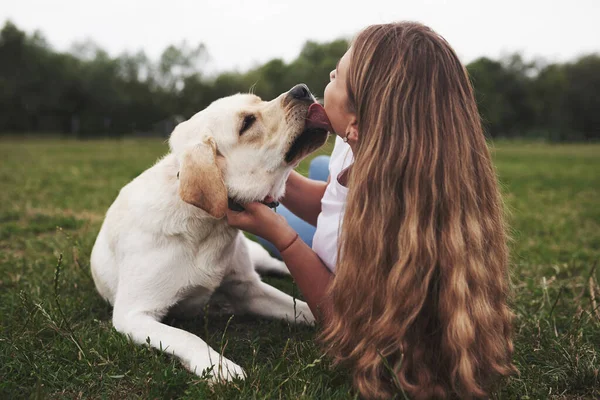 Açık havada köpeği olan çekici genç bir kadın. Labrador Retriever ile yeşil çimlerin üzerinde Gril.