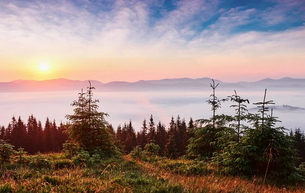 Zonsondergang Het Berglandschap Dramatische Lucht Karpaten Van Oekraïne Europa — Stockfoto