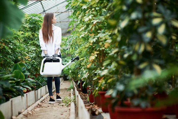 Chica Joven Camina Entre Las Plantas Invernadero Tiene Regadera —  Fotos de Stock