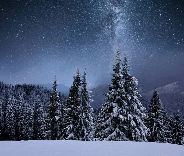 Bir Dağ Sırtı Orman Karla Kaplı Yıldızlı Gökyüzü Samanyolu Nda — Stok fotoğraf