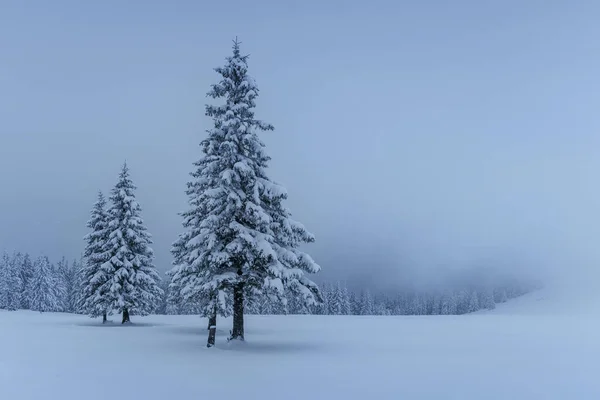 Tajemniczy Zimowy Krajobraz Majestatyczne Góry Pokrytym Śniegiem Drzewem Kartka Życzeniami — Zdjęcie stockowe