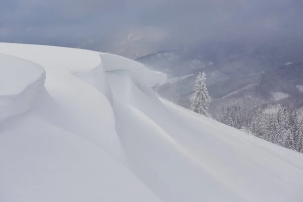 Beau Paysage Hivernal Avec Arbres Enneigés Corniche Neige — Photo