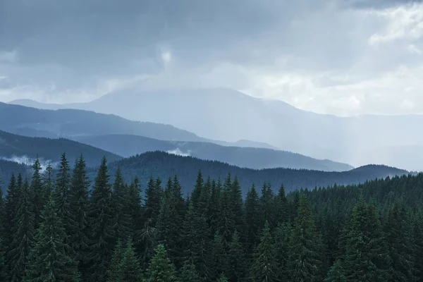 雨后风景秀丽的山水 乌克兰喀尔巴阡山脉 — 图库照片