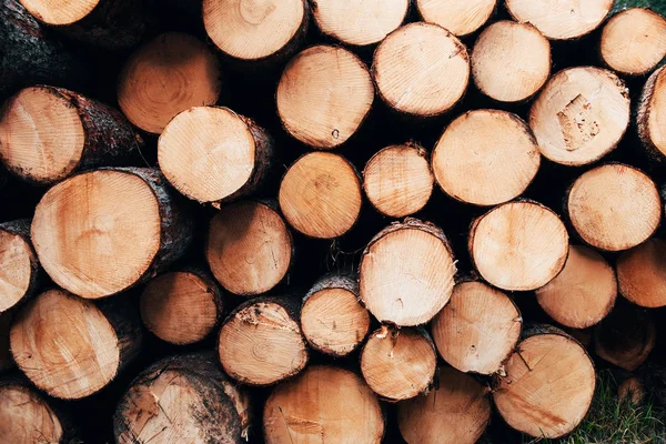 Stacked Top Each Other Close View Front Many Logs Prepared — Stock Photo, Image