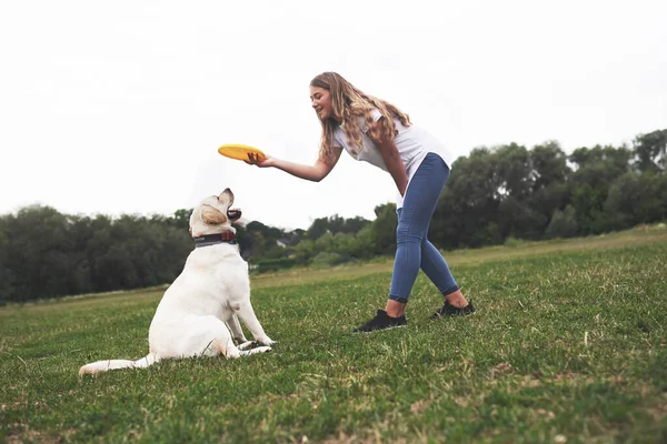 Młoda Kobieta Bawiąca Się Labradorem Parku Rzuca Żółtym Dyskiem Frisbee — Zdjęcie stockowe