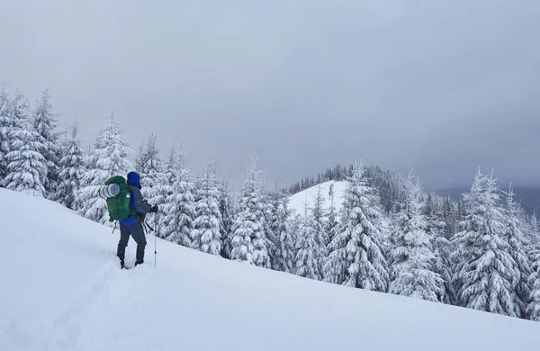 徒步旅行者背着背包爬上了山脉 欣赏着白雪覆盖的山峰 冬季荒野中的史诗般的冒险 — 图库照片