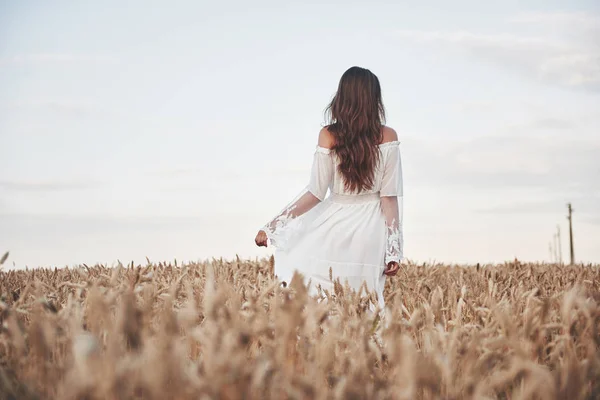 Mooi Meisje Een Gebied Van Tarwe Een Witte Jurk Een — Stockfoto