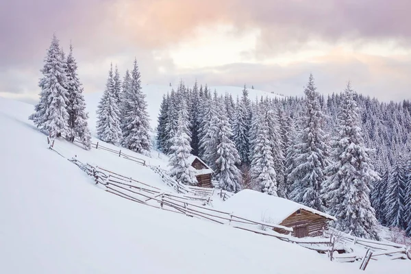 Útulná Dřevěná Chata Vysoko Zasněžených Horách Velké Borovice Pozadí Opuštěný — Stock fotografie