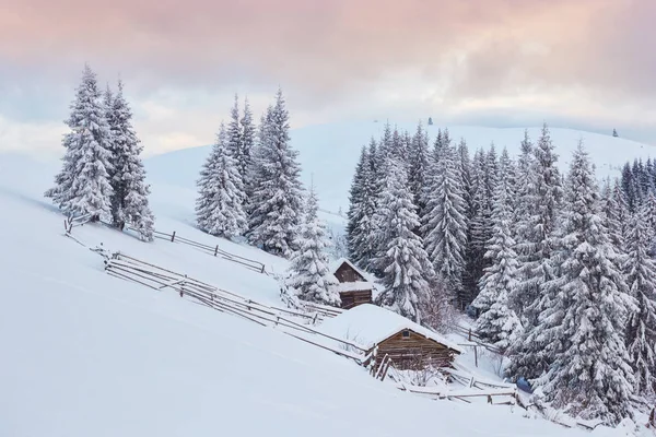 Cozy Wooden Hut High Snowy Mountains Great Pine Trees Background — ストック写真