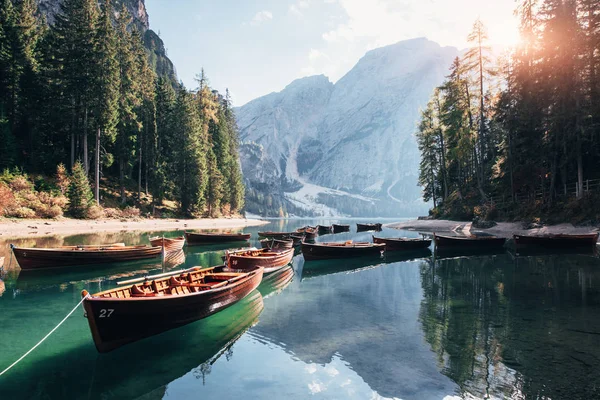 Sunlight Trees Connected Boats Clear Water Forest Beautiful Majestic Mountain — Stock Photo, Image