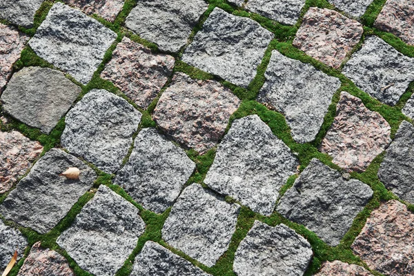 Fondo Adoquines Viejos Con Musgo Entre Rocas Hojas Secas —  Fotos de Stock