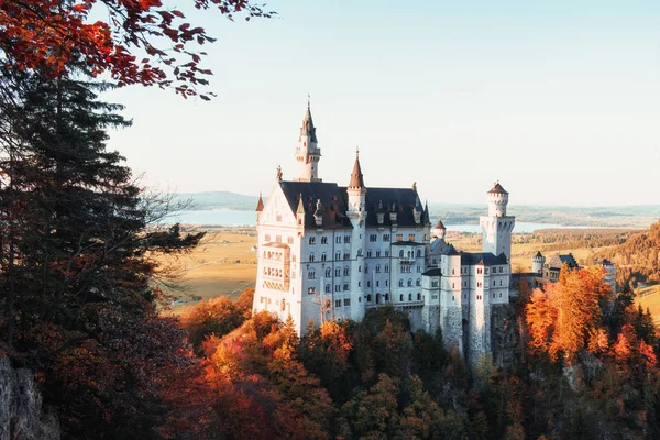 Heuvels Aan Linkerkant Prachtig Kasteel Neuschwanstein Zonlicht Bomen Van Onderen — Stockfoto