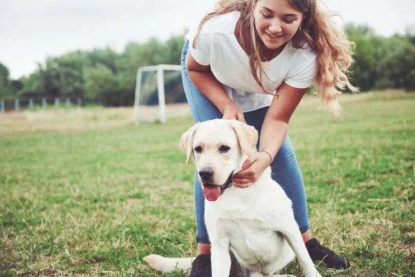 Ramme Med Smuk Pige Med Smuk Hund Park Grønt Græs - Stock-foto