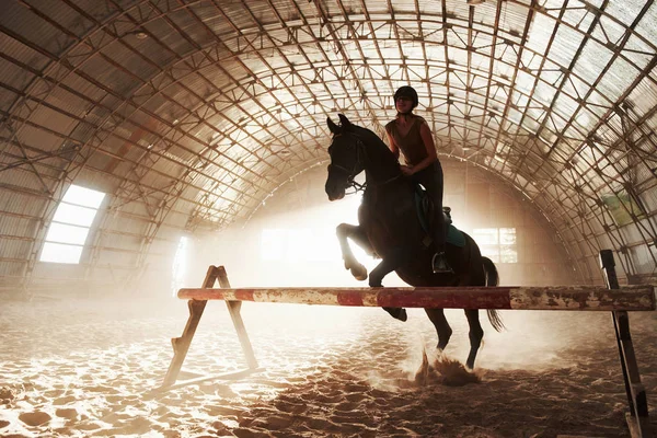 Majestueus Beeld Van Paard Silhouet Met Ruiter Zonsondergang Achtergrond Het — Stockfoto