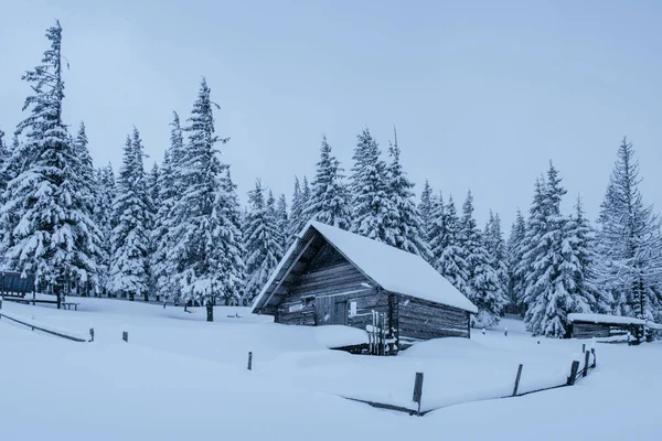 喀尔巴阡山脉的雪地森林 一座被雪覆盖的舒适的小木屋 山中的和平与冬季娱乐的概念 新年快乐 — 图库照片