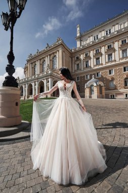 Şatonun yanındaki gelin. Şatonun yanındaki gelinlik içinde gelin.