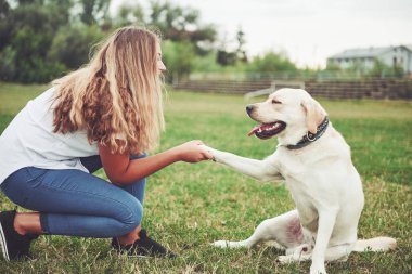 Çekici genç kadın labrador açık havada. Kadın ile köpek labrador geri almak yeşil çimenlerin üzerinde.