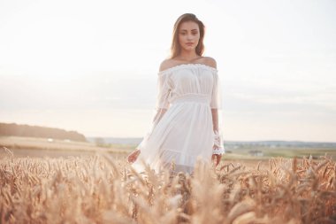 Buğday tarlasında beyaz elbiseli güzel bir kızın portresi..