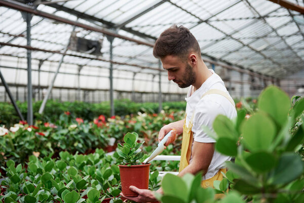Процесс идет. Человек садовник в желтой и белой одежде работает с зелеными растениями в вазах
.