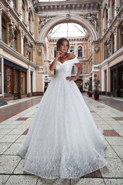 Mulher Jovem Delicada Bonita Noiva Sexy Vestido Casamento Luxuoso — Fotografia de Stock