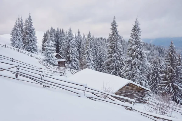 Útulná Dřevěná Chata Vysoko Zasněžených Horách Velké Borovice Pozadí Opuštěný — Stock fotografie