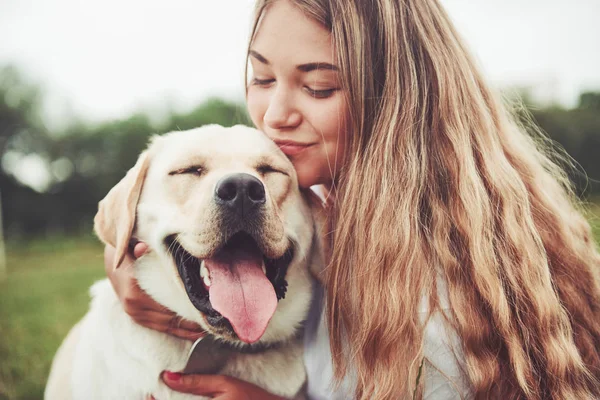 Moldura Com Uma Menina Bonita Com Belo Cão Parque Grama — Fotografia de Stock