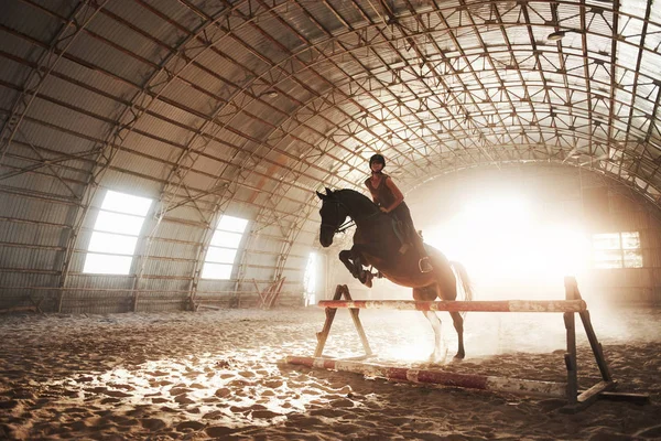 Maestosa Immagine Cavallo Silhouette Con Cavaliere Sullo Sfondo Del Tramonto — Foto Stock