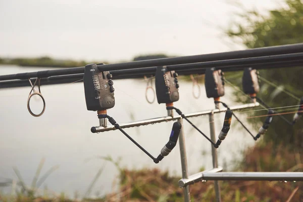 Carp fishing rods standing on special tripods. Expensive coils and a radio system of crochet. Hunting and hobby sport.