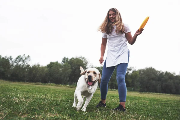 Atraktivní Mladá Žena Psem Venku Gril Zelené Trávě Labradorem Retrívrem — Stock fotografie