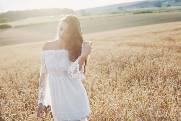 Menina Sensível Nova Vestido Branco Posando Campo Trigo Dourado — Fotografia de Stock