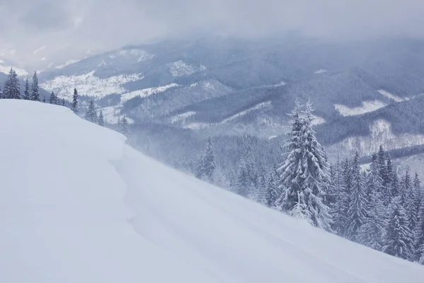 喀尔巴阡山脉冬天的大照片 雪覆杉树 五彩缤纷的户外景致 欢庆新年的理念 艺术风格经处理后的照片 — 图库照片