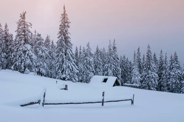 Verschneiter Wald Den Karpaten Ein Kleines Gemütliches Holzhaus Das Mit — Stockfoto