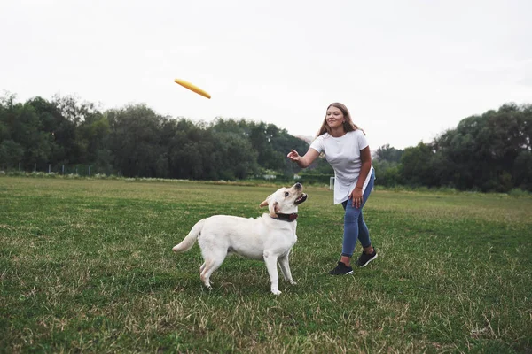 Mujer Joven Jugando Con Labrador Parque Ella Lanza Disco Frisbee — Foto de Stock