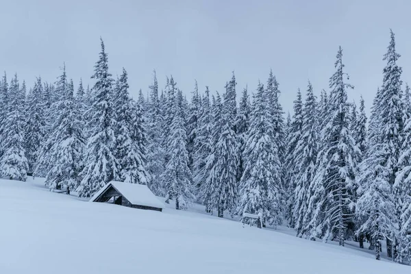 カルパチア山脈の雪の森 雪に覆われた小さな居心地の良い木造の家 山の中で平和と冬のレクリエーションの概念 明けましておめでとうございます — ストック写真