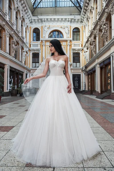 Beautiful Delicate Young Woman Sexy Bride Luxurious Wedding Dress — 스톡 사진