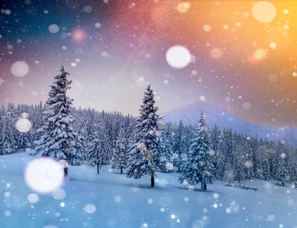 冬の雪の夜の星空 大晦日の幻想的なミルキーな方法 山の斜面に美しい風景や雪に覆われた松 ボケ光効果 ソフトフィルター グリーティングカード — ストック写真