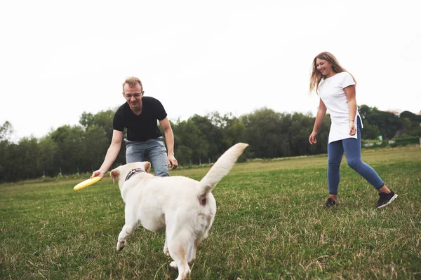 Jonge Vrouw Man Spelen Met Haar Labrador Een Park Gooien — Stockfoto