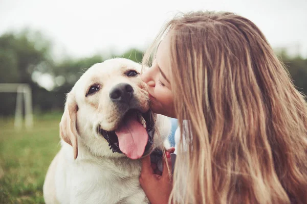 Parkta yeşil çimlerin üzerinde güzel bir köpeği olan güzel bir kızı çerçevelet.