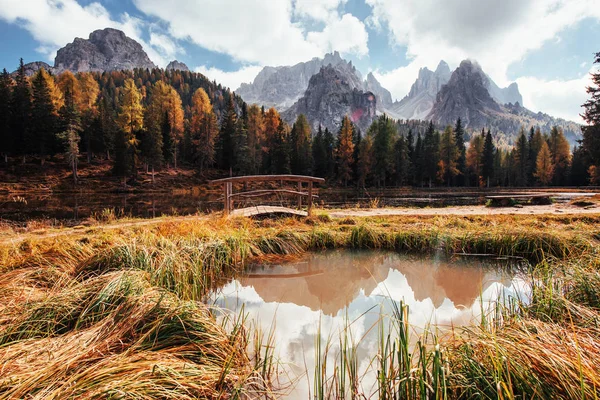 Amazing view of majestic mountains with woods in front of them at autumn day. Puddle that goes from the lake with little bridge in the center.