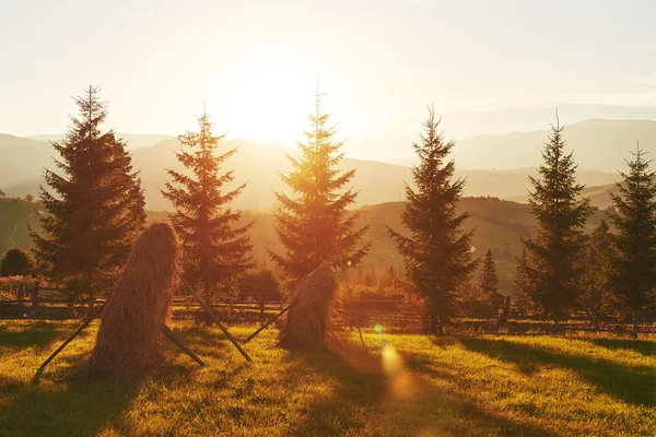 Krásný Podzim Východ Slunce Krajina Karpat Hory Evropa Cestování Západní — Stock fotografie