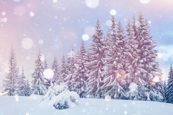 Snöig Dag Bergen Vacker Vinter Majestätisk Landskap — Stockfoto