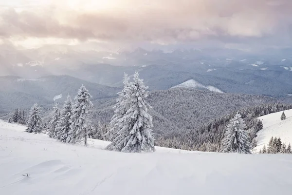 Winterlandschaft Bäume Und Zaun Raureif Hintergrund Mit Einigen Weichen Lichtern — Stockfoto