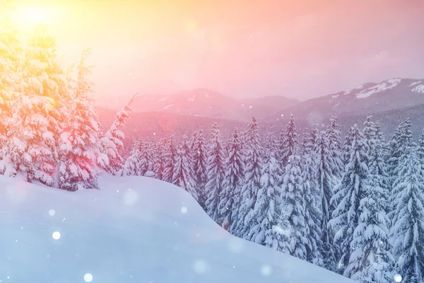 Misterioso Paisaje Majestuosas Montañas Invierno Árbol Mágico Cubierto Nieve Tarjeta — Foto de Stock