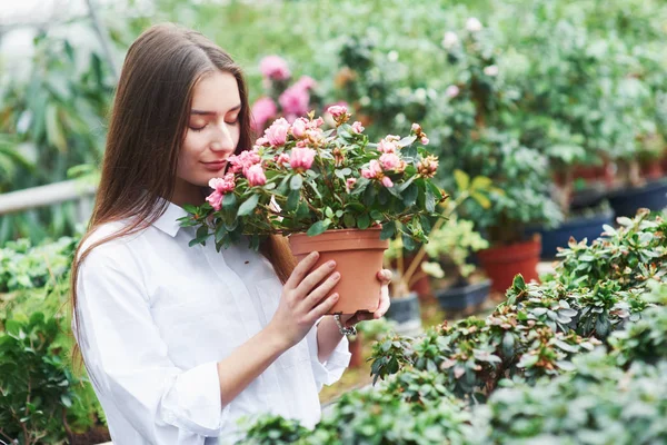 Feeling Joy Pretty Girl Holds Pot Sniffs Flowers Greenhouse — Stock Photo, Image