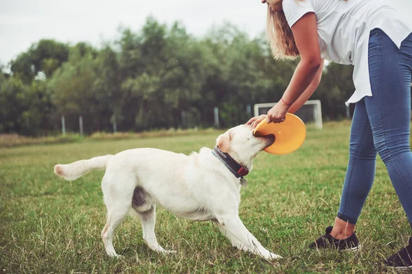 Een Jong Lachend Meisje Met Een Vrolijke Uitdrukking Speelt Met — Stockfoto