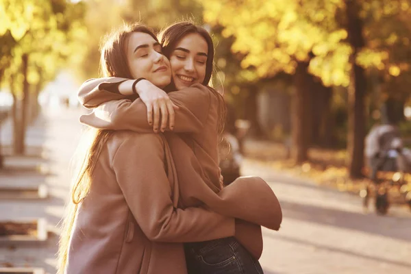 Side Profile Young Pretty Smiling Brunette Twin Girls Hugging Having — Stock Photo, Image