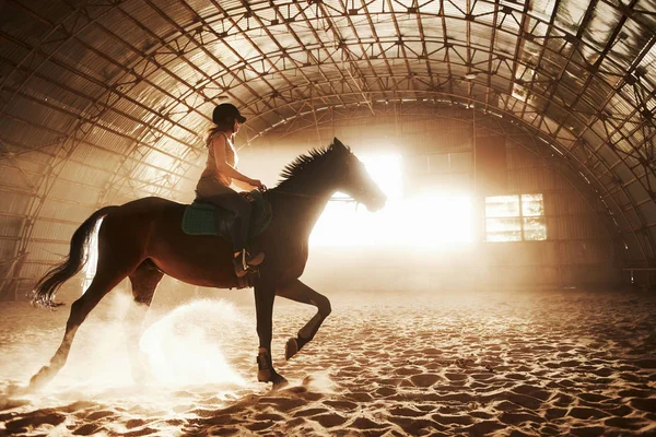 Majestueus Beeld Van Paard Silhouet Met Ruiter Zonsondergang Achtergrond Het — Stockfoto