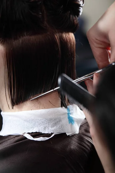 Hair care in modern beauty salon — Stock Photo, Image